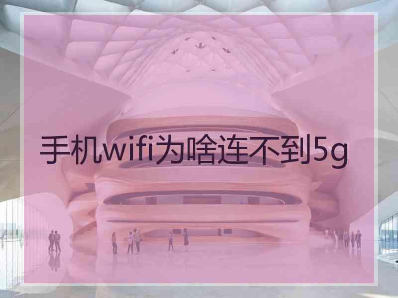 手机wifi为啥连不到5g