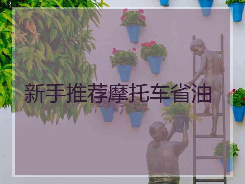 新手推荐摩托车省油