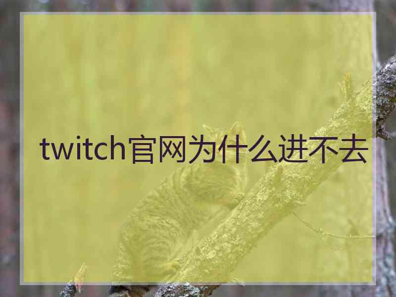 twitch官网为什么进不去