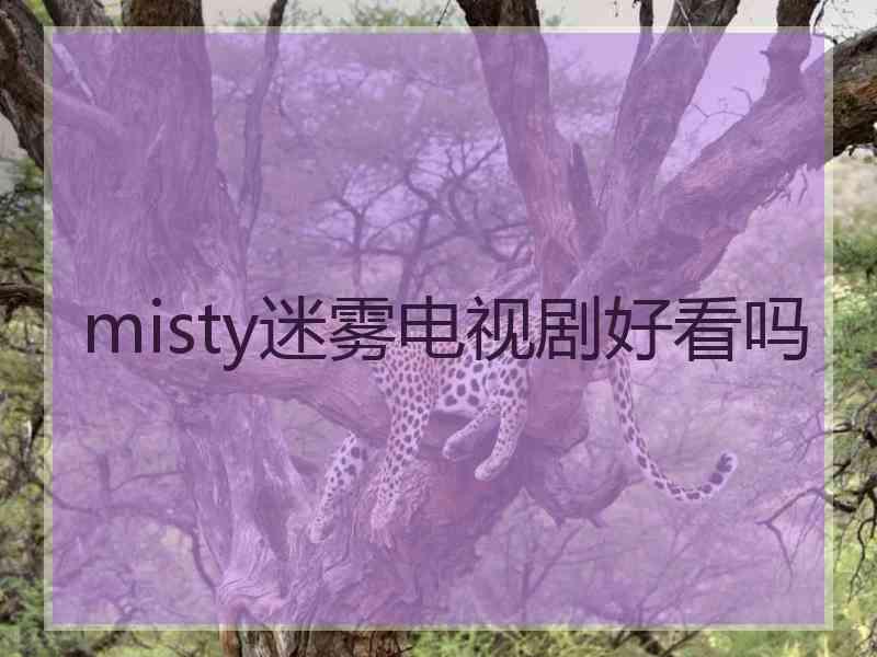 misty迷雾电视剧好看吗