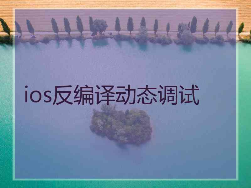 ios反编译动态调试