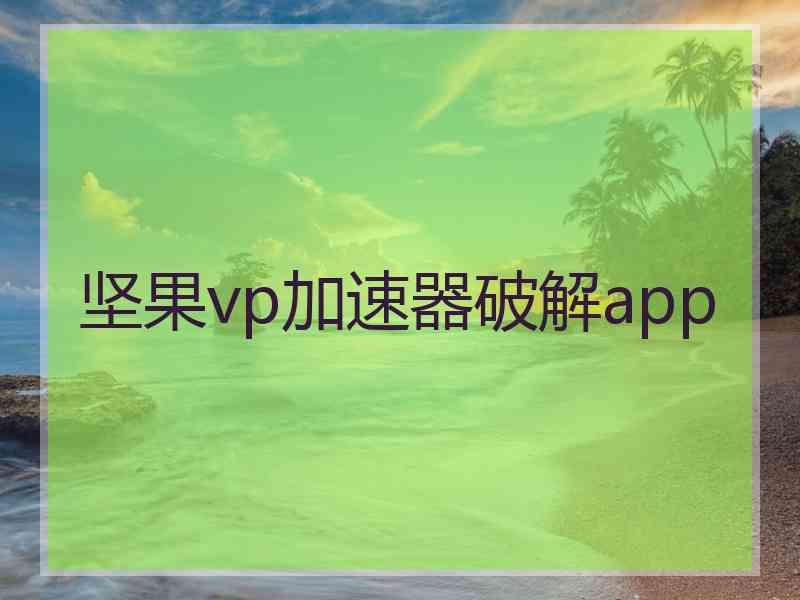 坚果vp加速器破解app