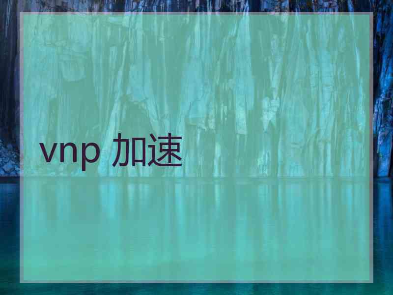 vnp 加速