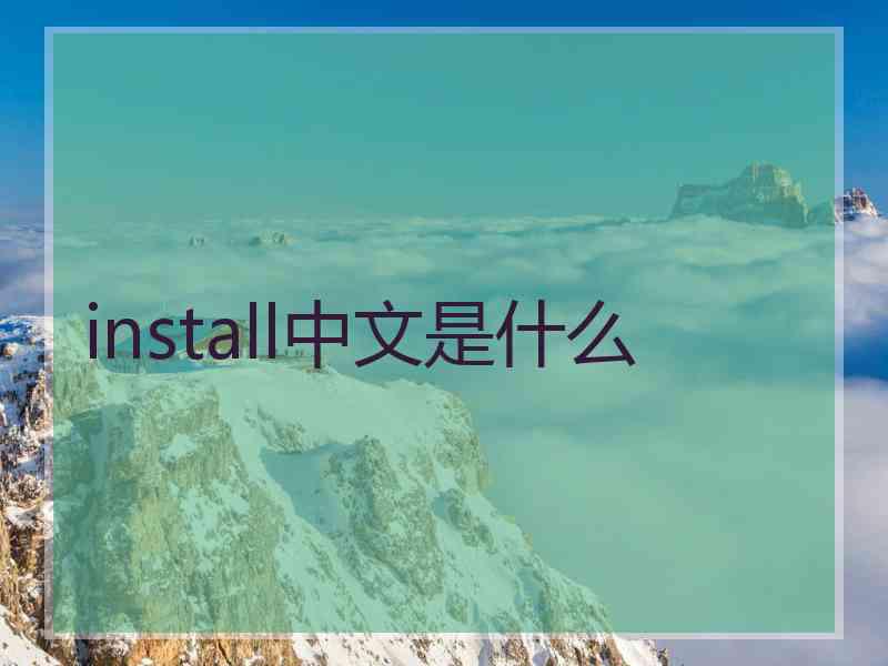 install中文是什么