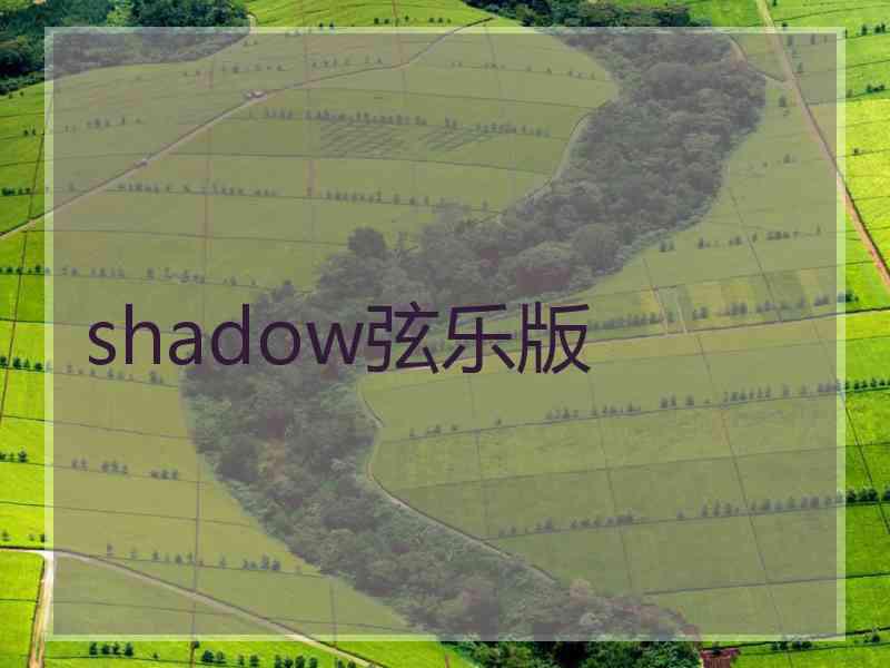 shadow弦乐版