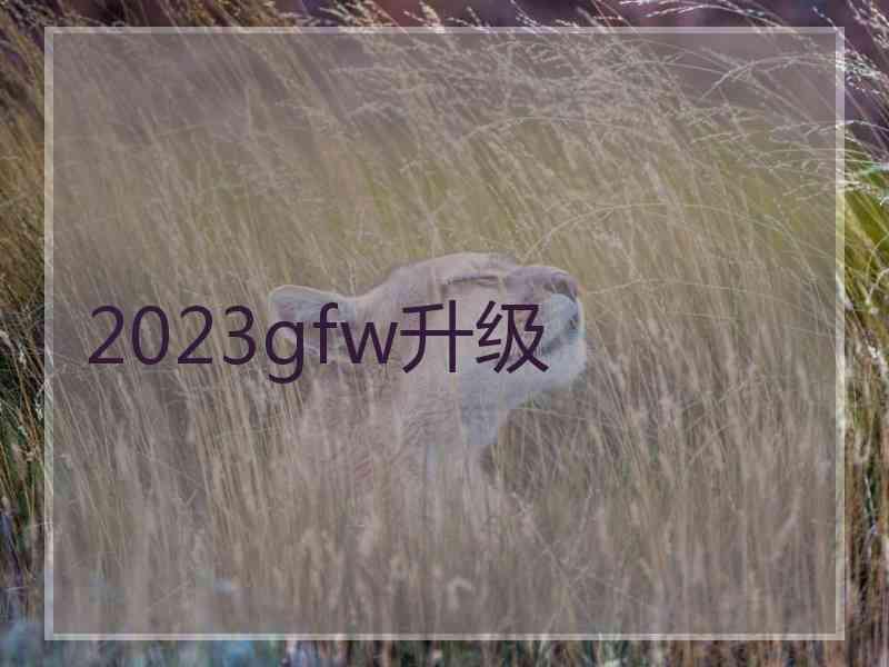 2023gfw升级