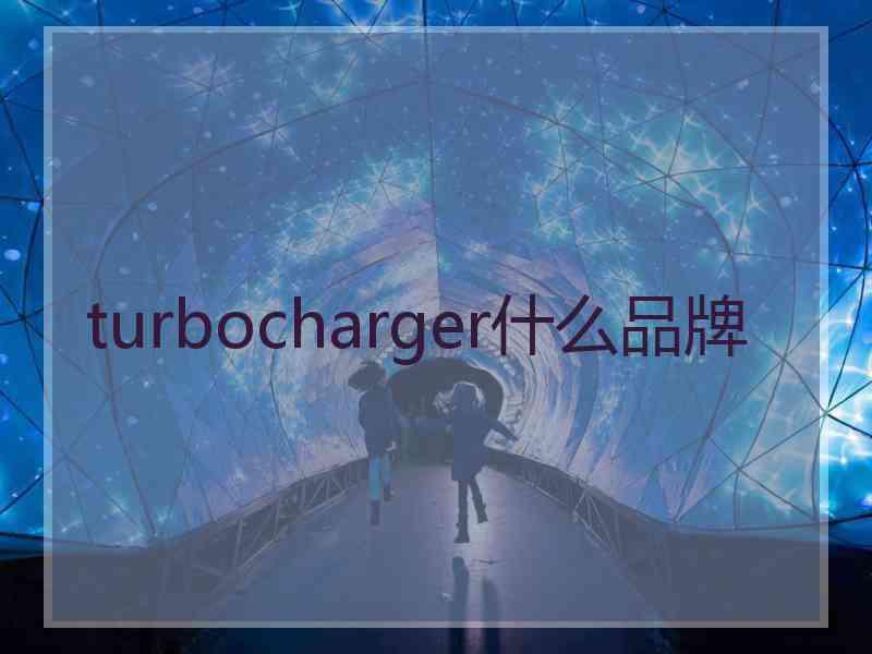 turbocharger什么品牌