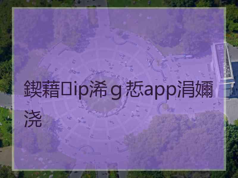 鍥藉ip浠ｇ悊app涓嬭浇