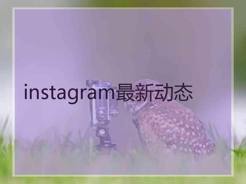 instagram最新动态