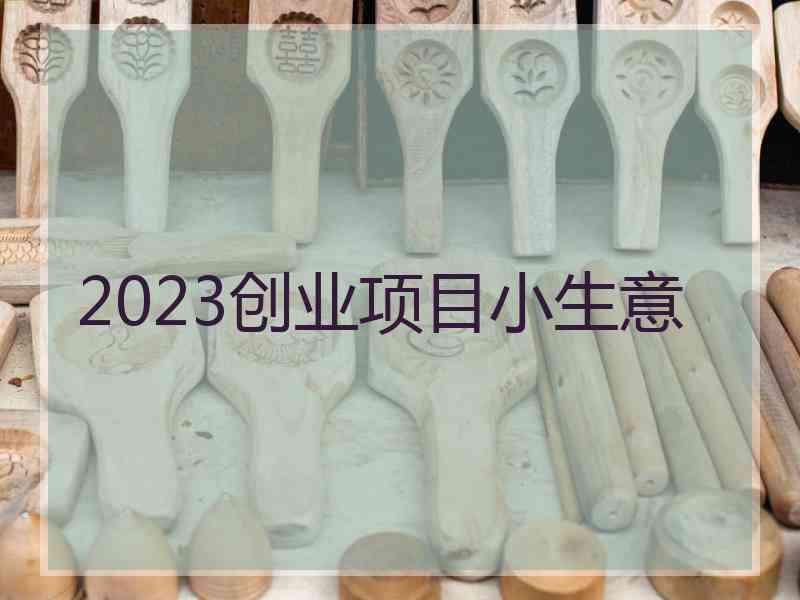 2023创业项目小生意