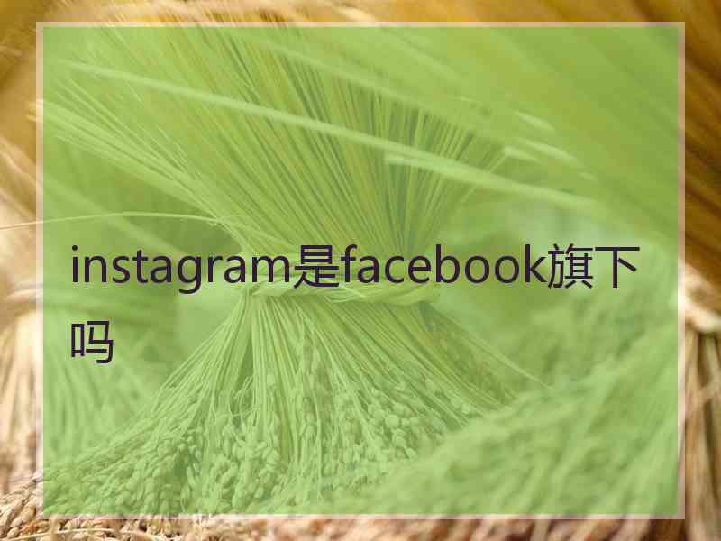 instagram是facebook旗下吗