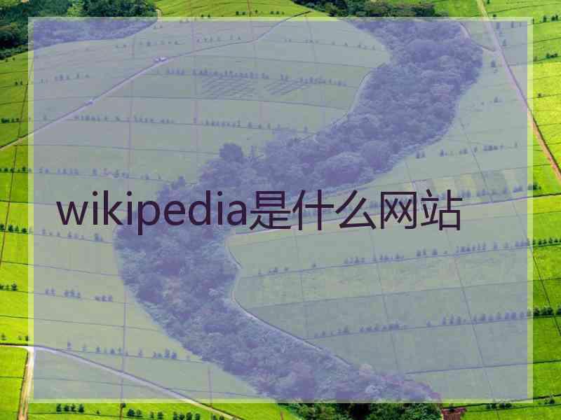 wikipedia是什么网站