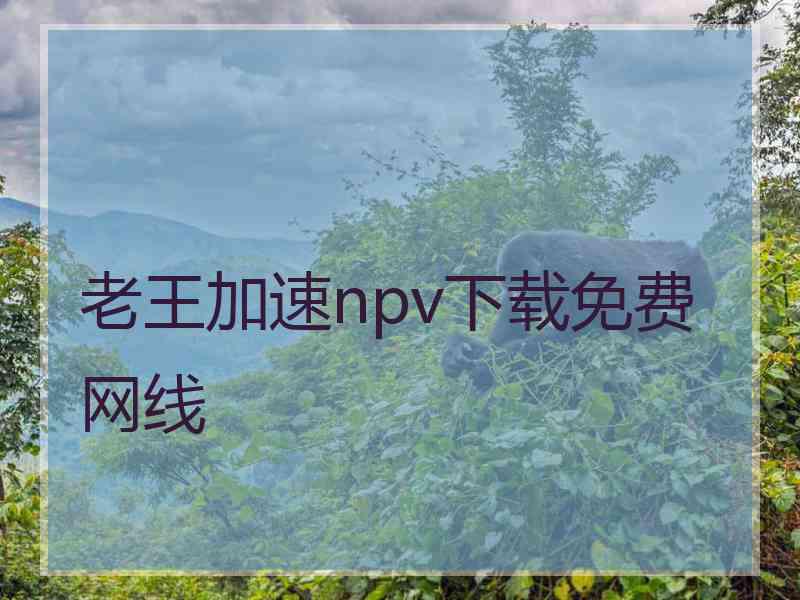 老王加速npv下载免费网线