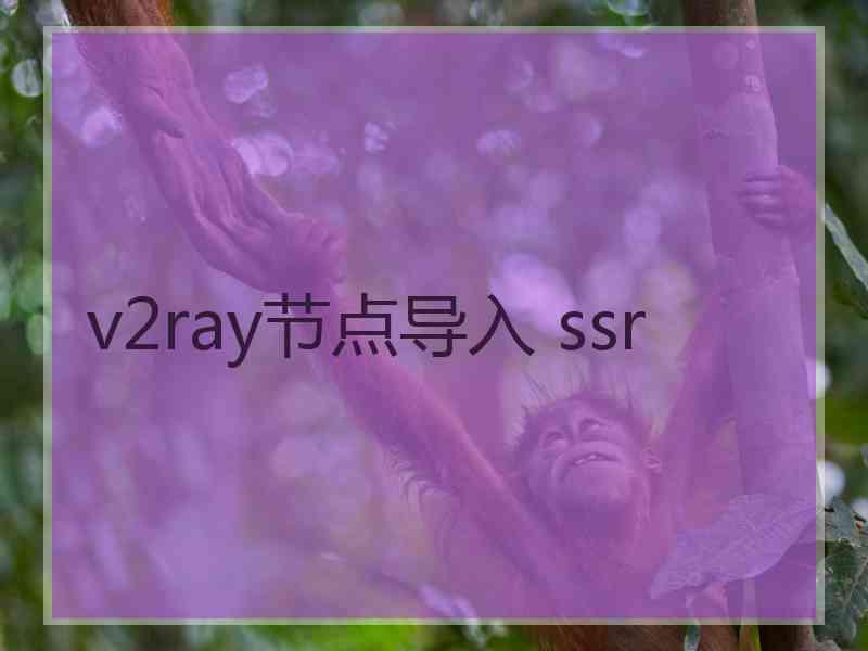 v2ray节点导入 ssr