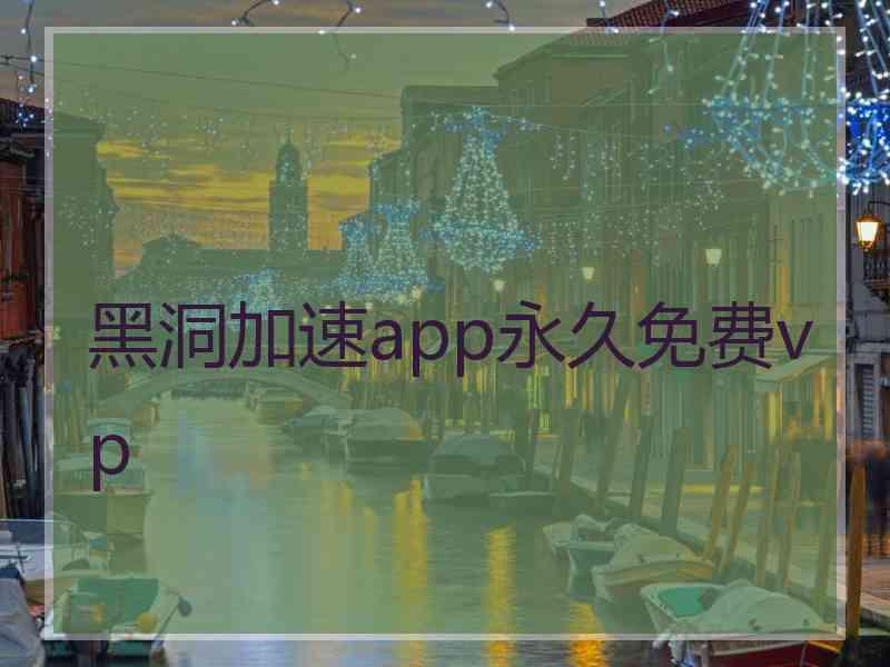 黑洞加速app永久免费vp