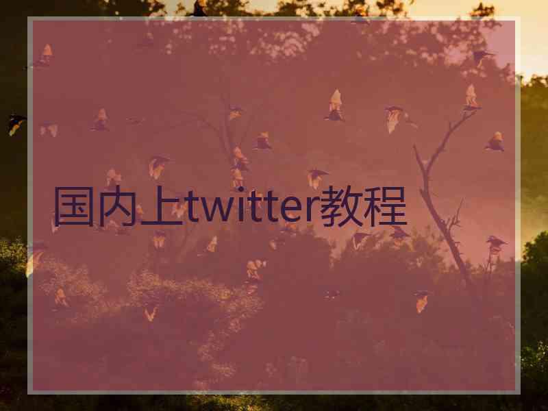 国内上twitter教程