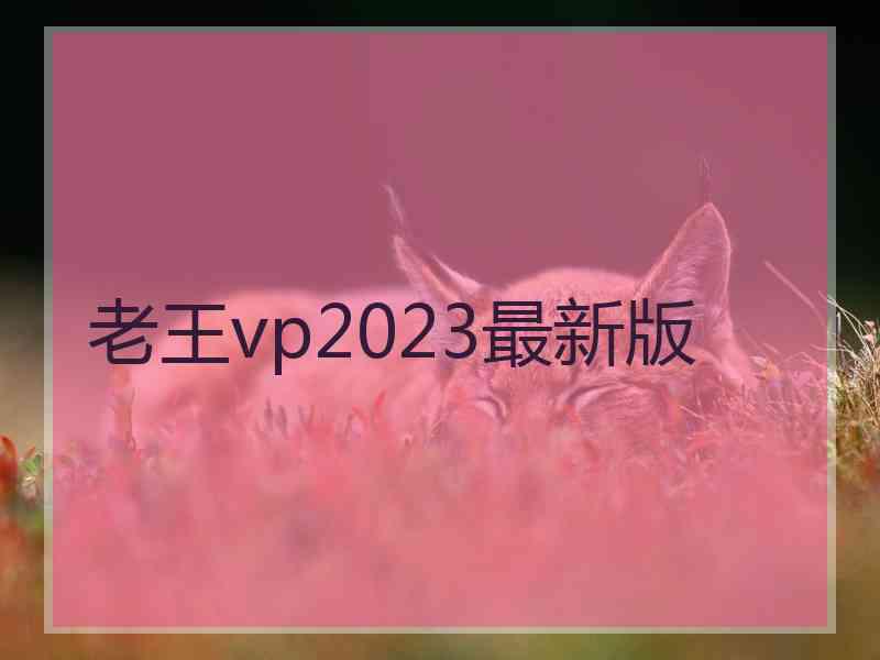 老王vp2023最新版