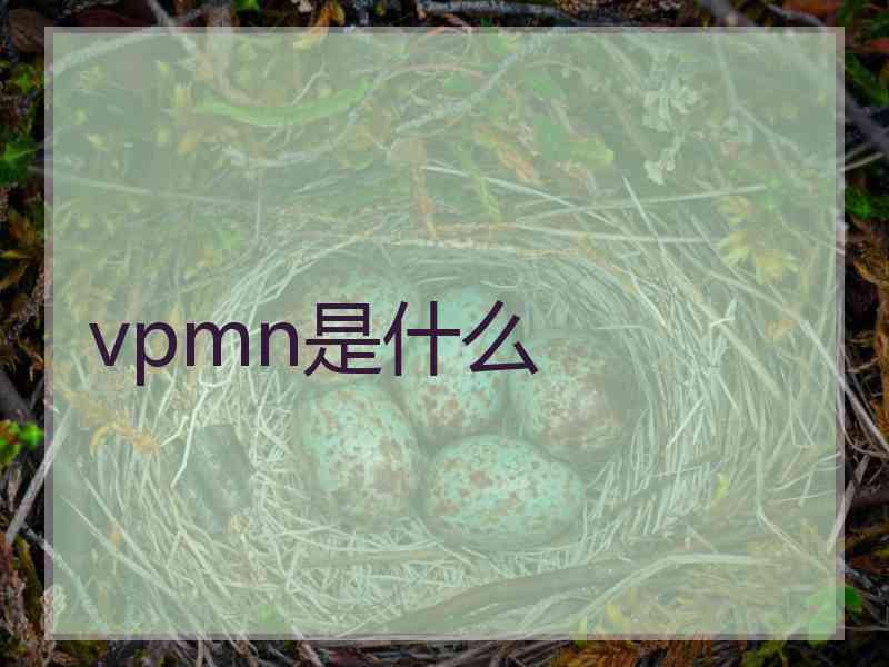 vpmn是什么