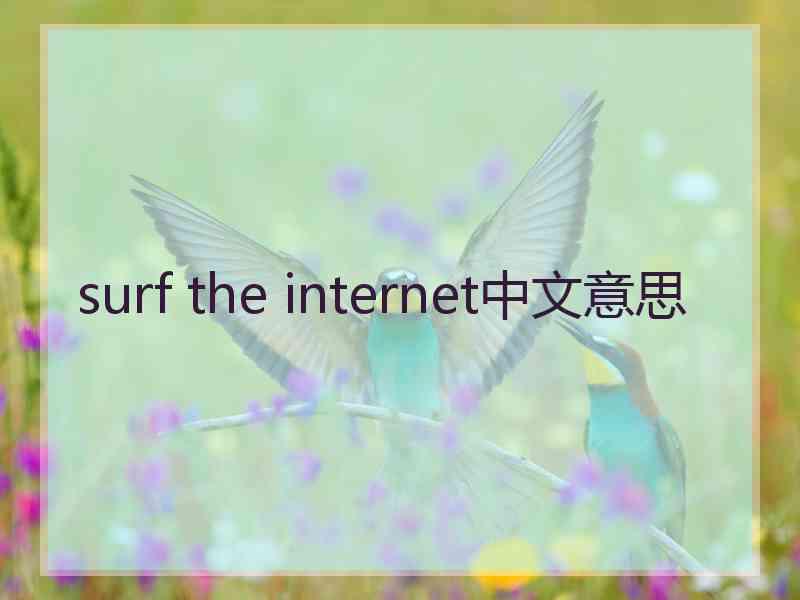 surf the internet中文意思