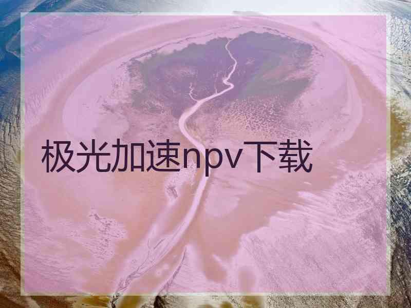 极光加速npv下载