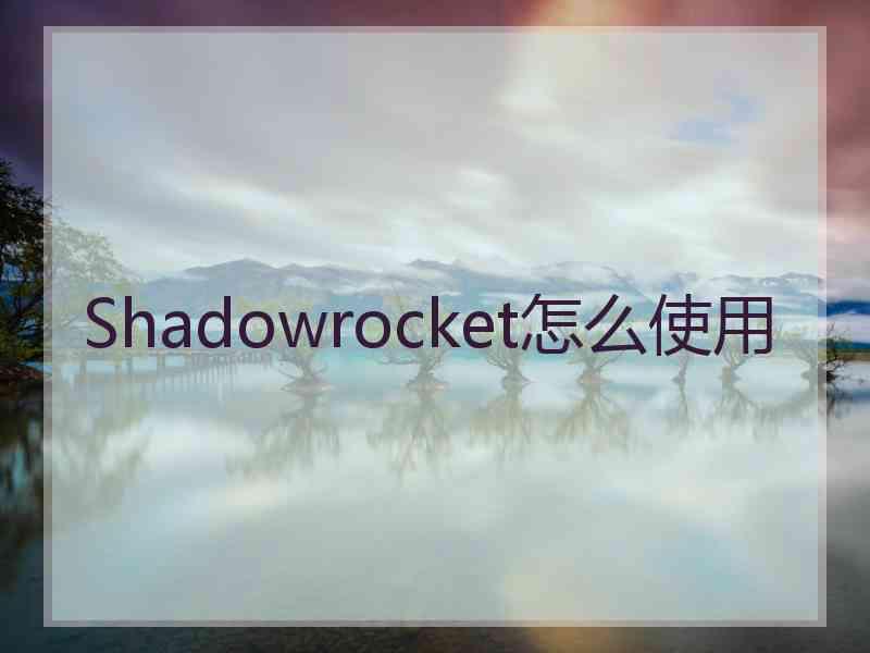 Shadowrocket怎么使用