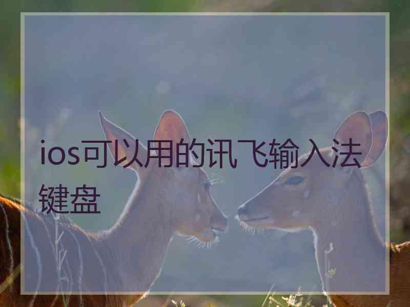 ios可以用的讯飞输入法键盘