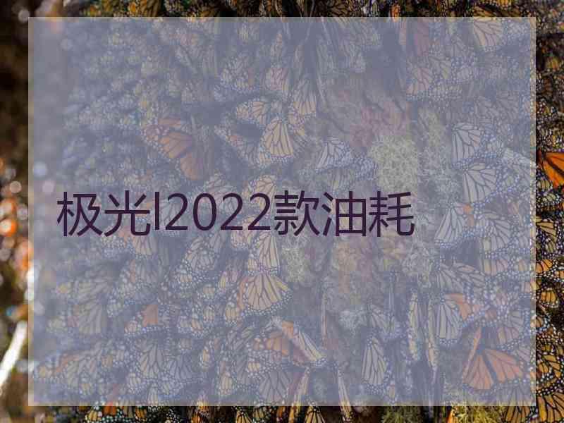 极光l2022款油耗