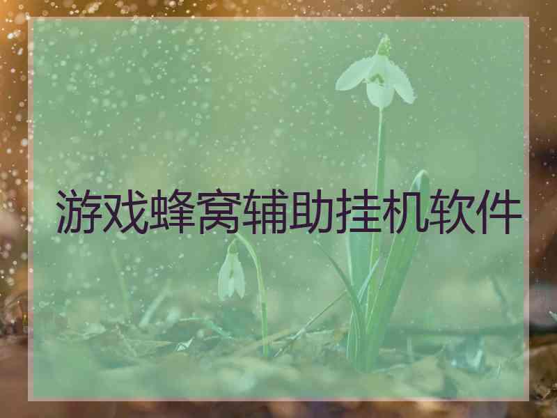 游戏蜂窝辅助挂机软件