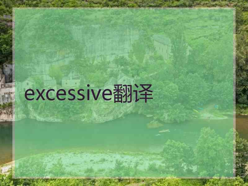 excessive翻译