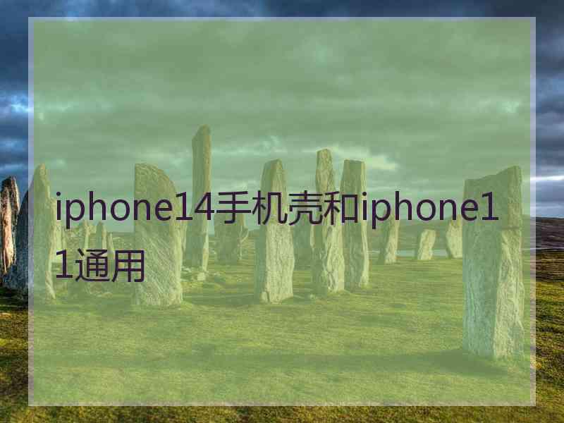 iphone14手机壳和iphone11通用