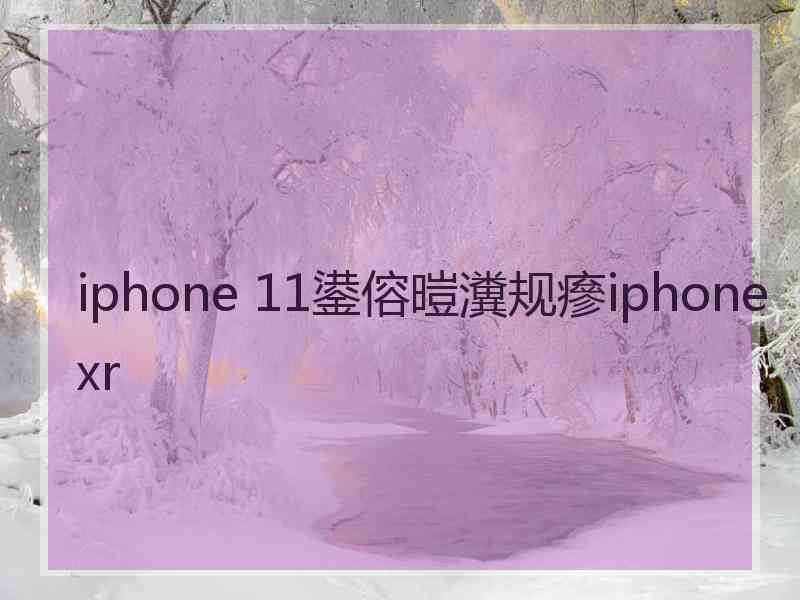 iphone 11鍙傛暟瀵规瘮iphonexr