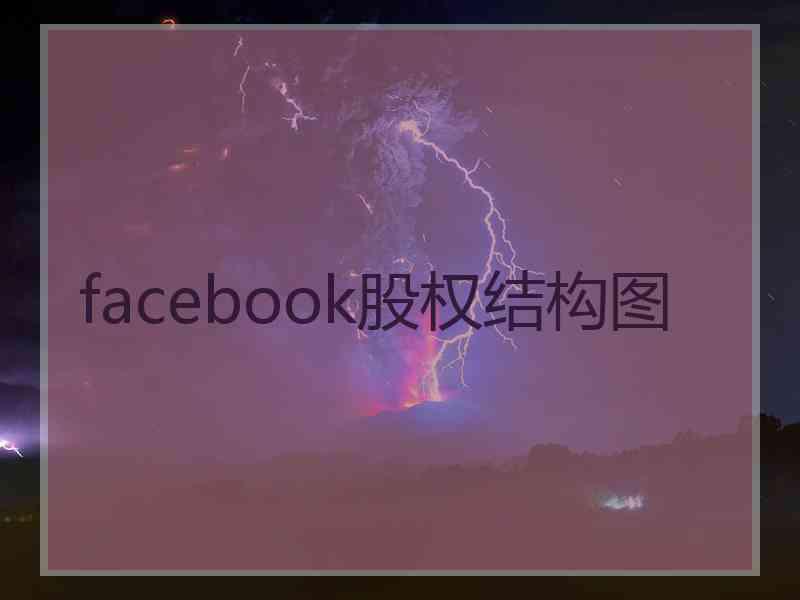 facebook股权结构图