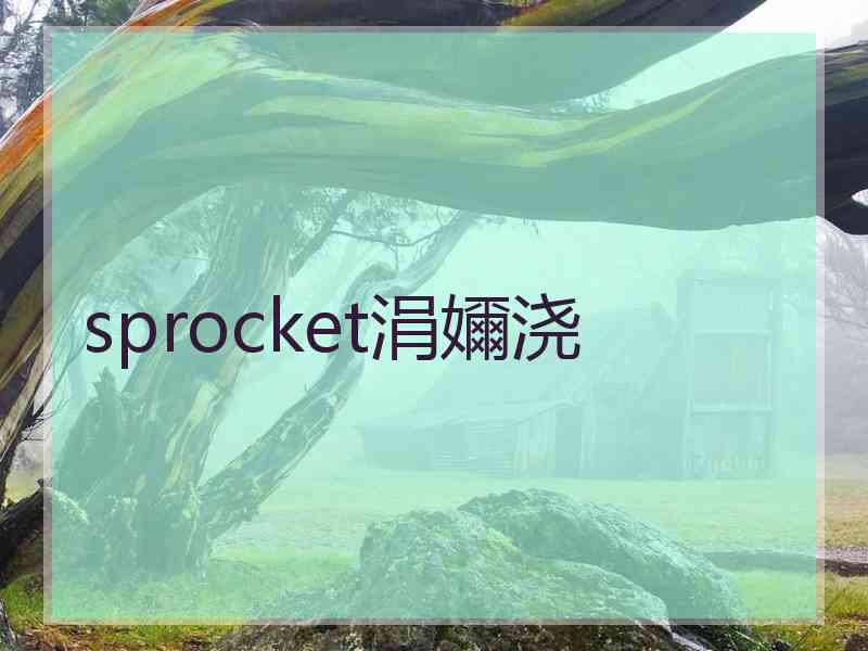 sprocket涓嬭浇