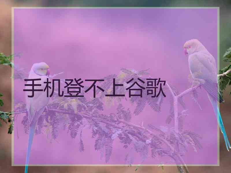 手机登不上谷歌