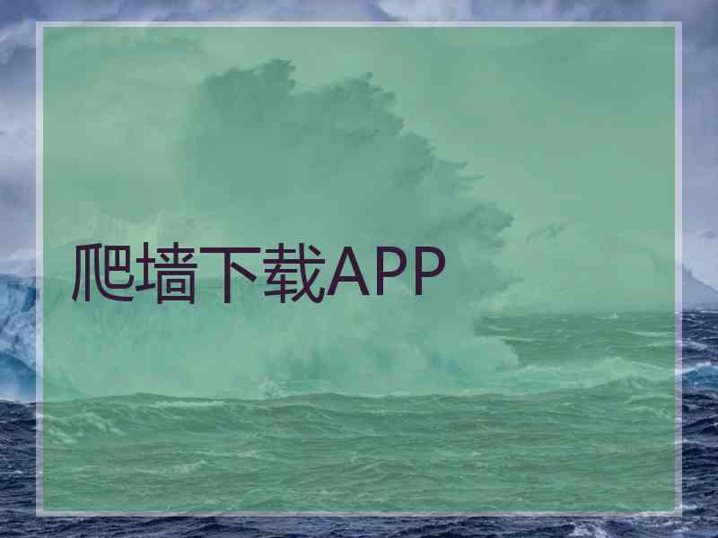 爬墙下载APP