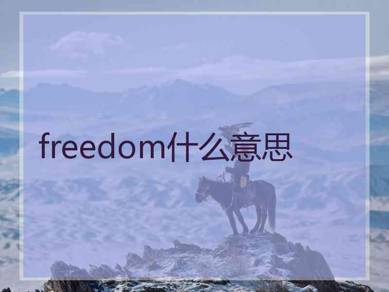 freedom什么意思