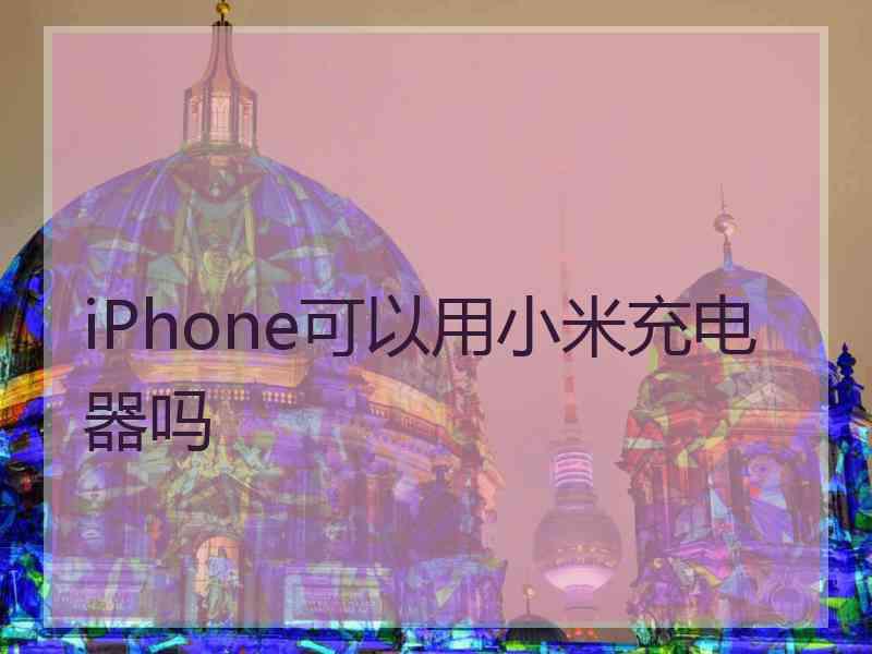 iPhone可以用小米充电器吗