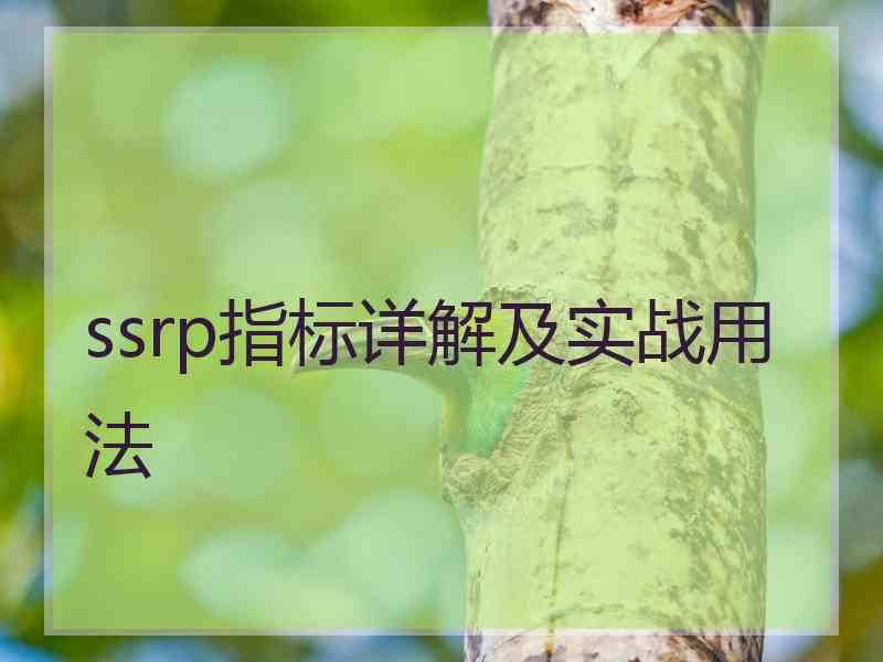 ssrp指标详解及实战用法