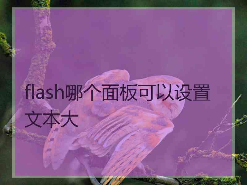 flash哪个面板可以设置文本大