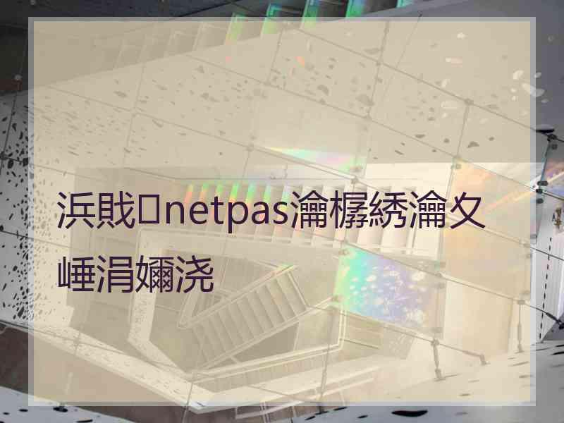 浜戝netpas瀹樼綉瀹夊崜涓嬭浇