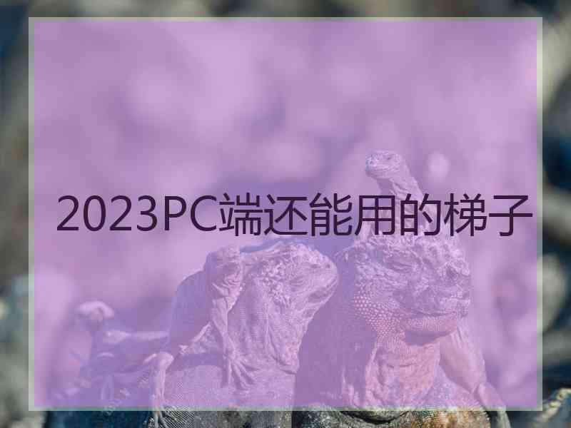 2023PC端还能用的梯子