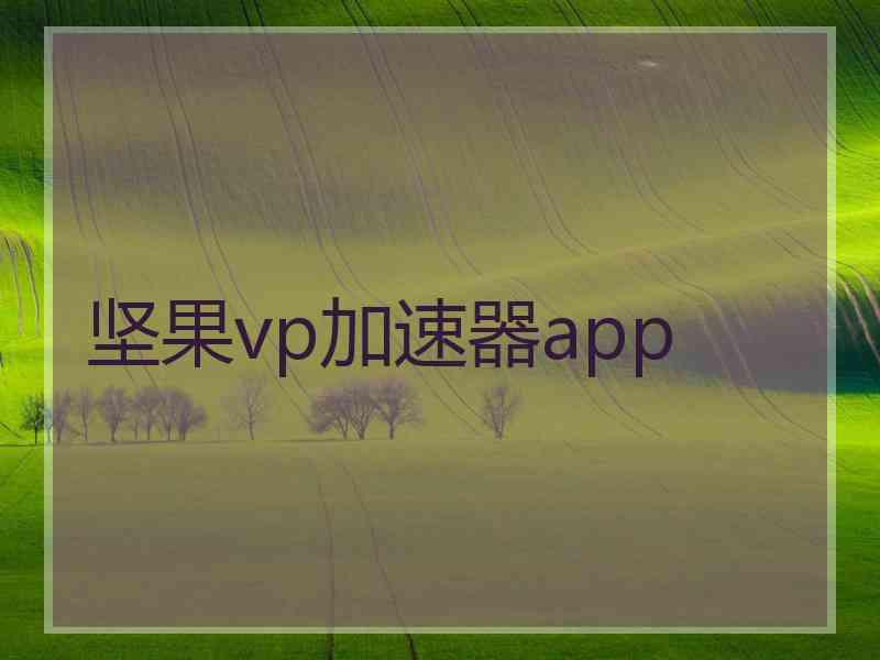 坚果vp加速器app