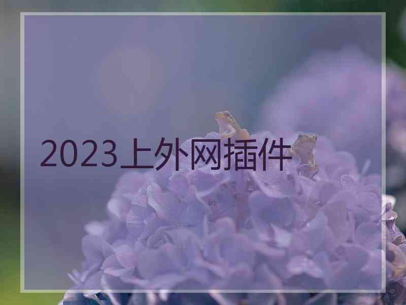 2023上外网插件