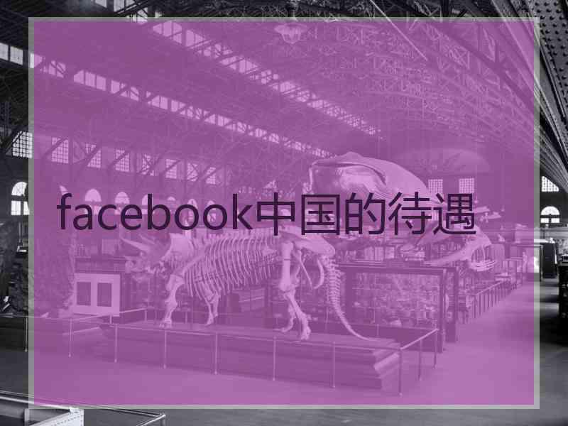 facebook中国的待遇