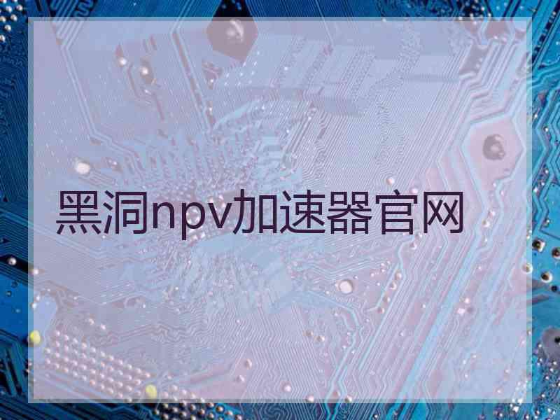 黑洞npv加速器官网