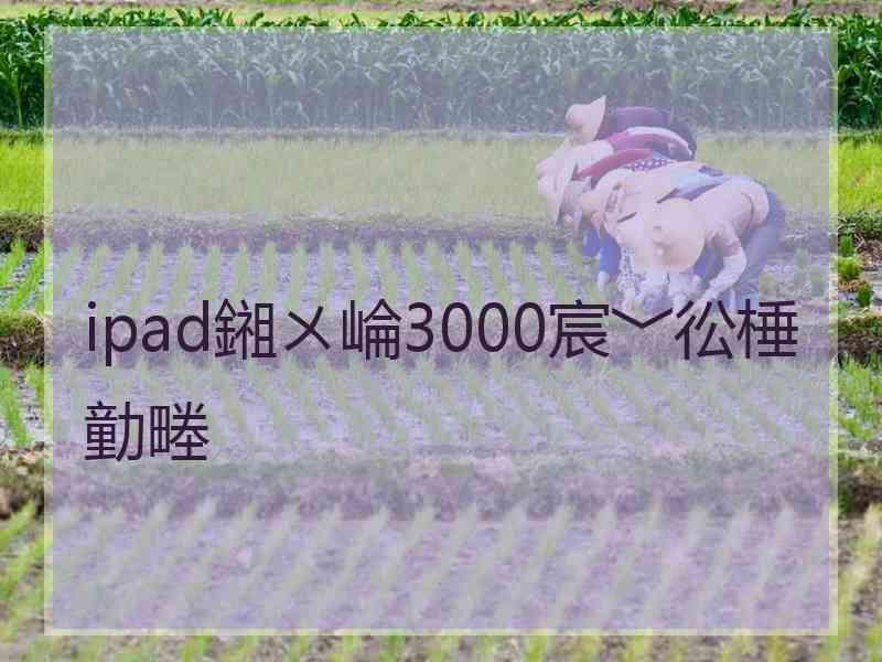 ipad鎺ㄨ崘3000宸﹀彸棰勭畻