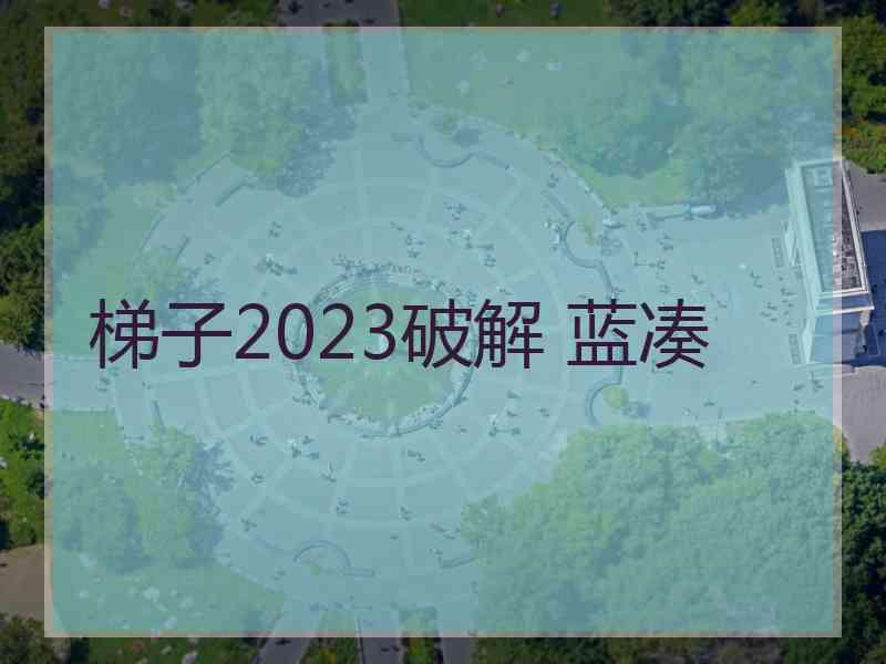 梯子2023破解 蓝凑