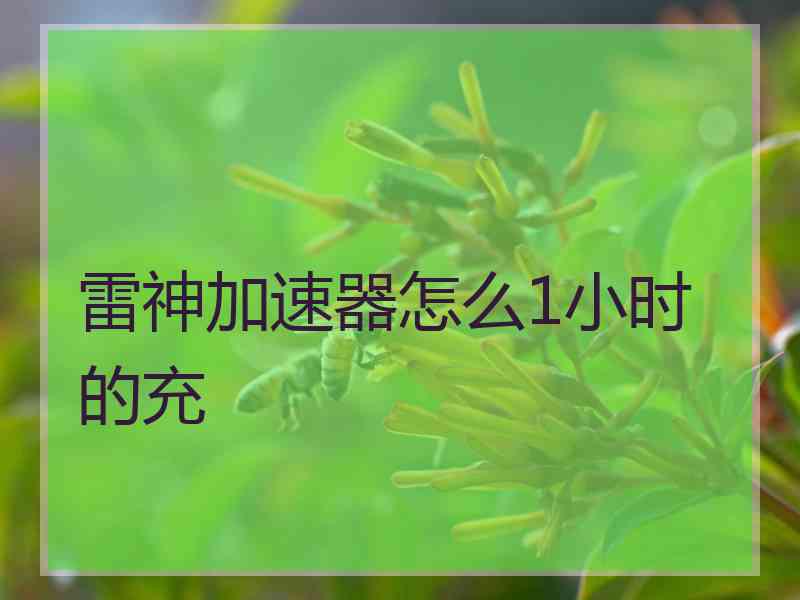 雷神加速器怎么1小时的充