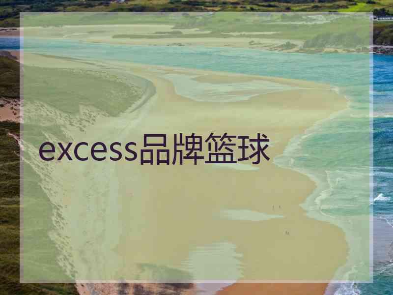 excess品牌篮球