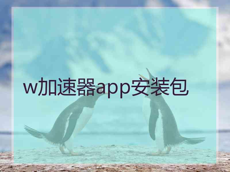 w加速器app安装包